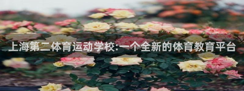 德国意昂集团
