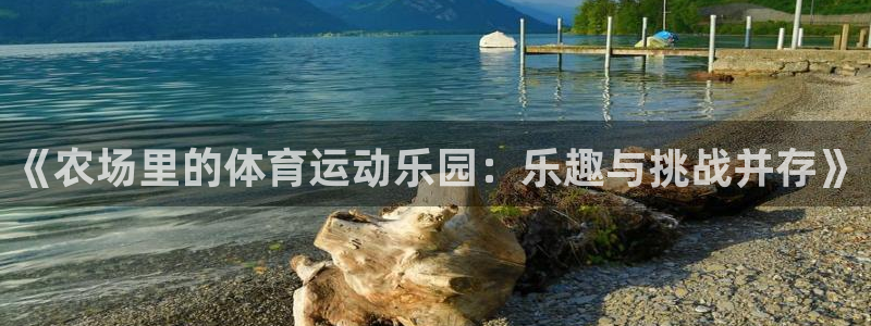 意昂平台招商