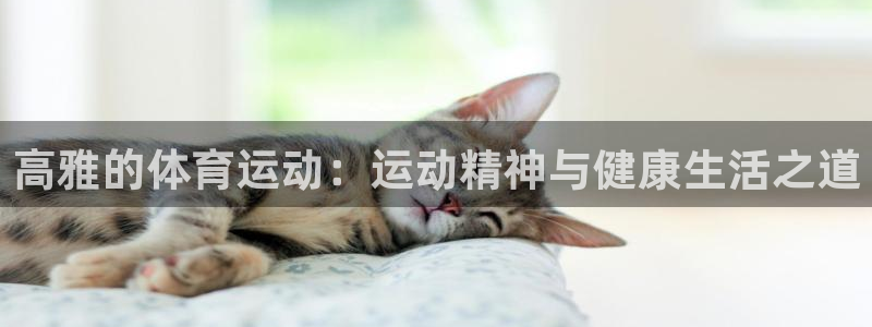 杏运注册