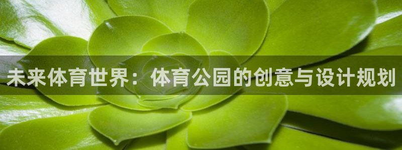 意昂代理