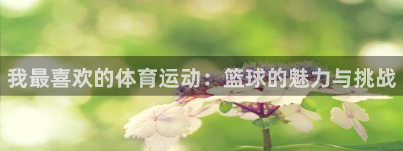 意昂3平台登录注册