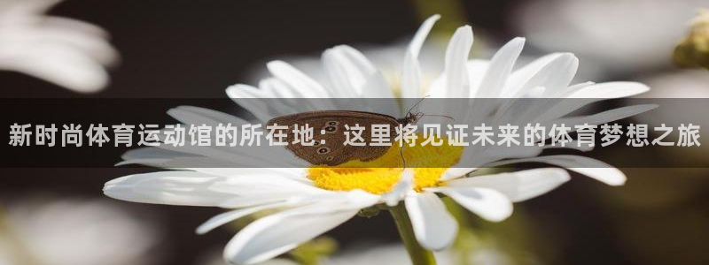 东莞市意昂电子科技有限公司