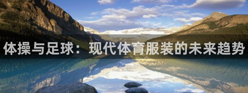 上海杏运汽车电子有限公司