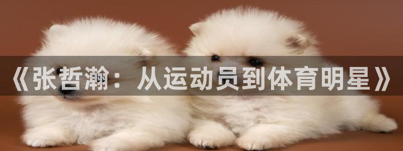 杏运平台注册